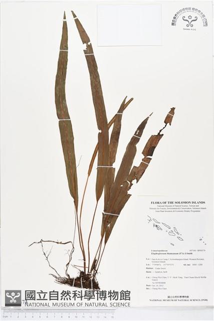 登錄號:BP00374藏品圖，第1張