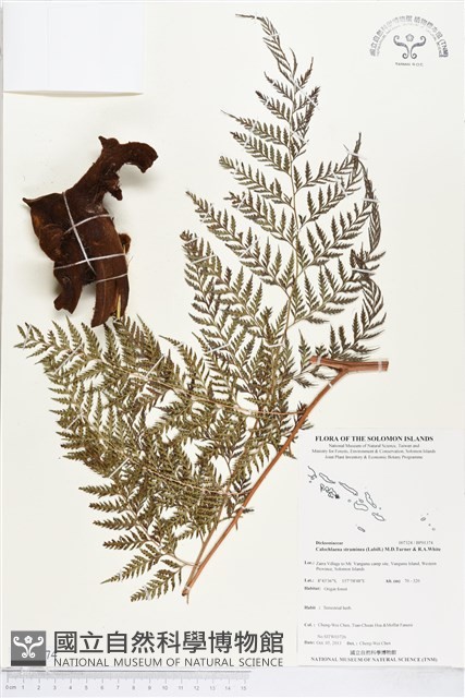 登錄號:BP01374藏品圖，第1張