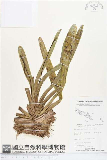 登錄號:BS04374藏品圖，第1張