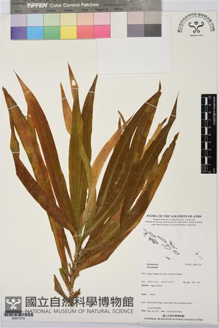 登錄號:BS07374藏品圖，第1張