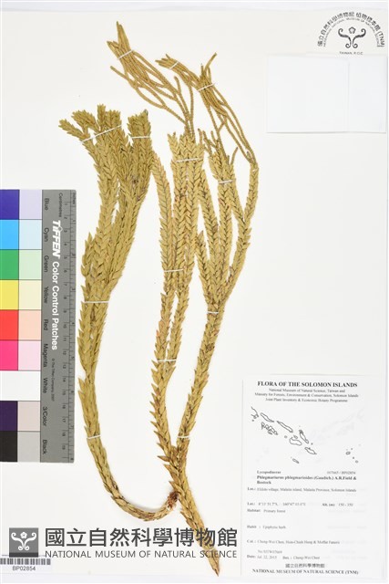 登錄號:BP02854藏品圖，第1張