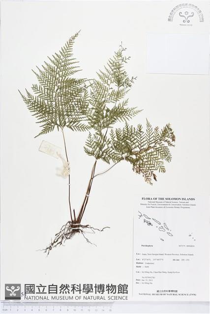 登錄號:BP00854藏品圖，第1張