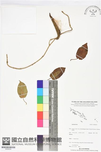 登錄號:BS06054藏品圖，第1張