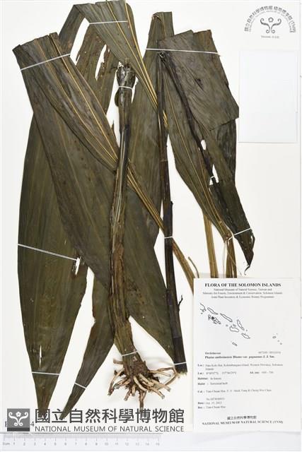 登錄號:BS02054藏品圖，第1張