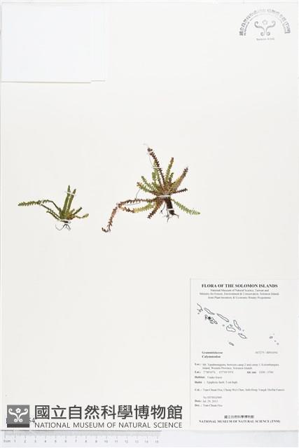 登錄號:BP01054藏品圖，第1張