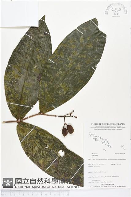 登錄號:BS03654藏品圖，第1張