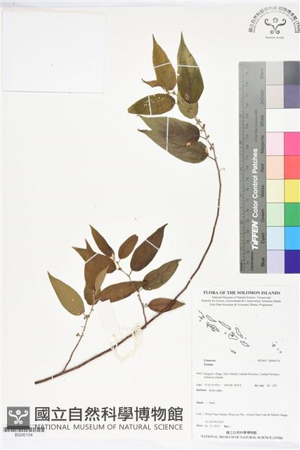 登錄號:BS06154藏品圖，第1張
