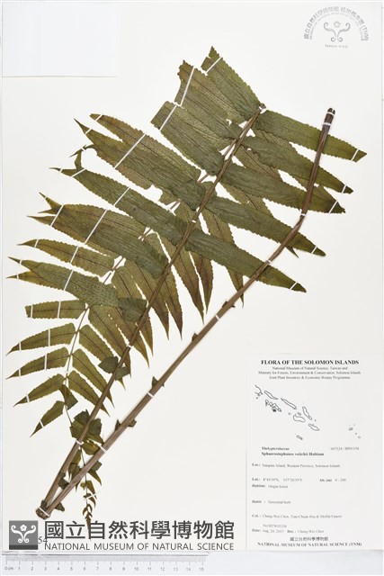 登錄號:BP01154藏品圖，第1張