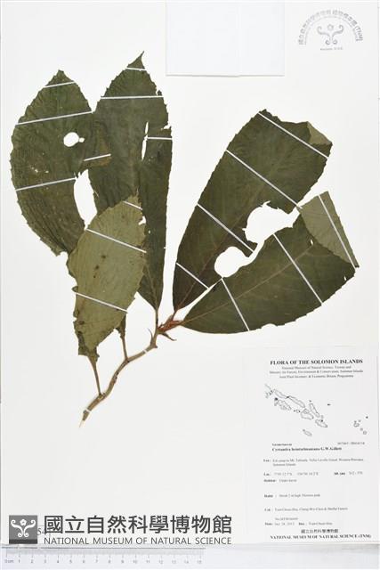 登錄號:BS04154藏品圖，第1張