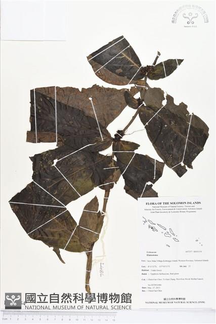 登錄號:BS03154藏品圖，第1張