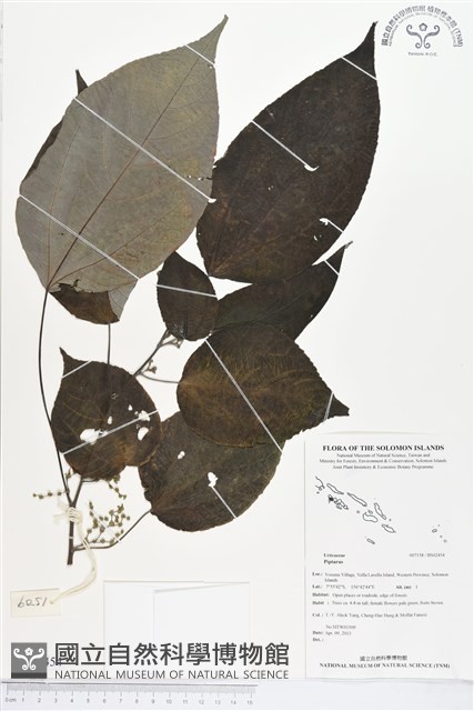 登錄號:BS02454藏品圖，第1張