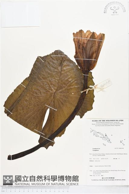 登錄號:BS05454藏品圖，第1張