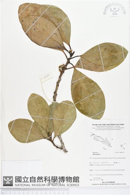 登錄號:BS04454藏品圖，第1張