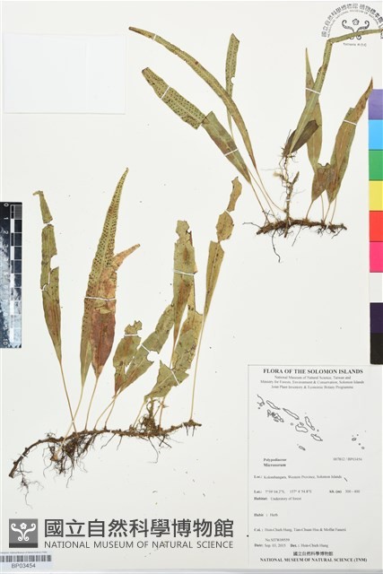 登錄號:BP03454藏品圖，第1張
