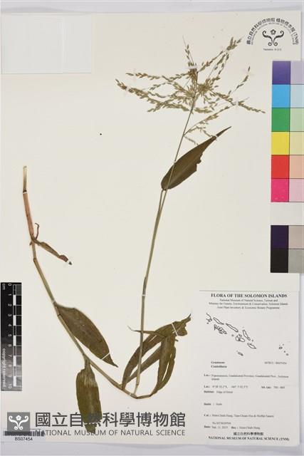 登錄號:BS07454藏品圖，第1張