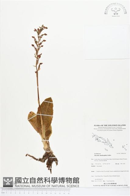 登錄號:BS04254藏品圖，第1張