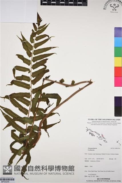 登錄號:BP03254藏品圖，第1張