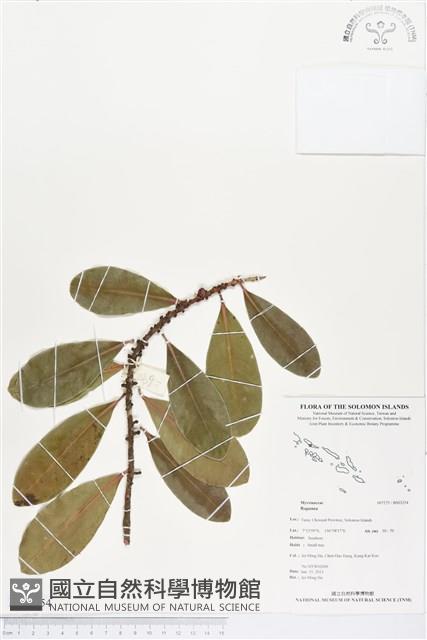 登錄號:BS03254藏品圖，第1張