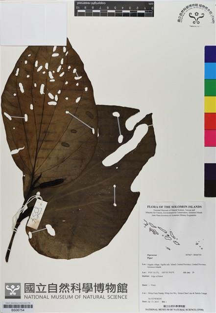 登錄號:BS06754藏品圖，第1張