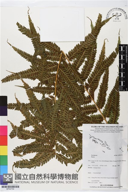 登錄號:BP02754藏品圖，第1張