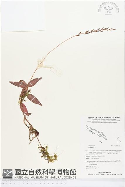 登錄號:BS02754藏品圖，第1張