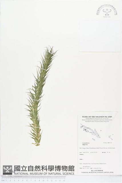 登錄號:BP01754藏品圖，第1張