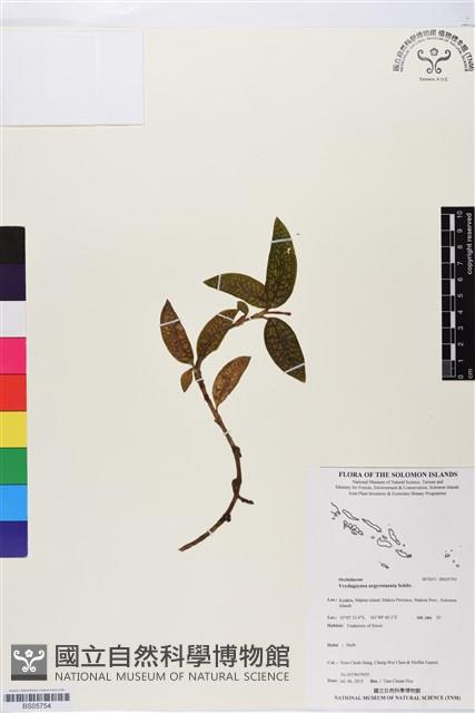 登錄號:BS05754藏品圖，第1張