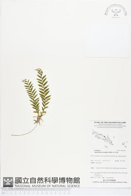 登錄號:BS04754藏品圖，第1張