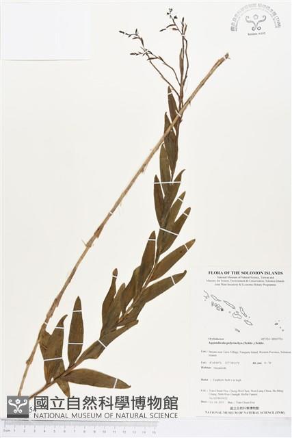 登錄號:BS03754藏品圖，第1張