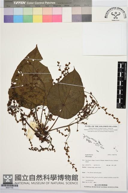 登錄號:BS07754藏品圖，第1張