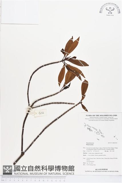 登錄號:BS02554藏品圖，第1張