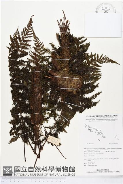 登錄號:BP00554藏品圖，第1張