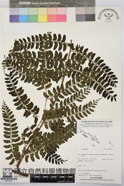 登錄號:BP03554藏品圖，第1張