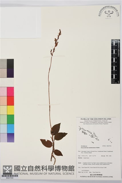 登錄號:BS07554藏品圖，第1張