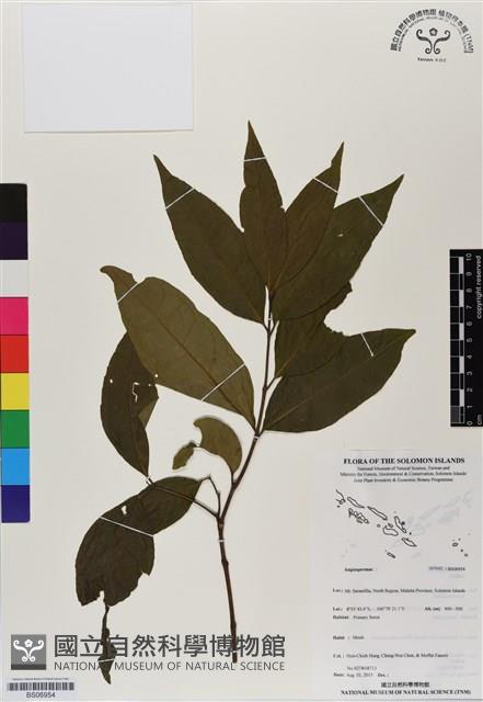 登錄號:BS06954藏品圖，第1張
