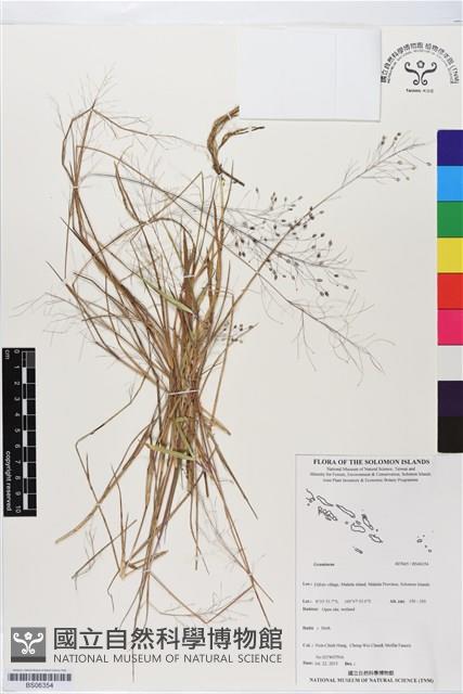 登錄號:BS06354藏品圖，第1張