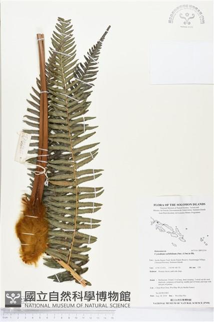 登錄號:BP02354藏品圖，第1張