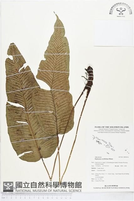 登錄號:BP00354藏品圖，第1張