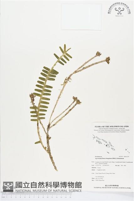 登錄號:BS01354藏品圖，第1張