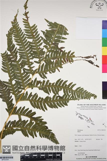 登錄號:BP03354藏品圖，第1張