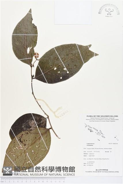 登錄號:BS03354藏品圖，第1張