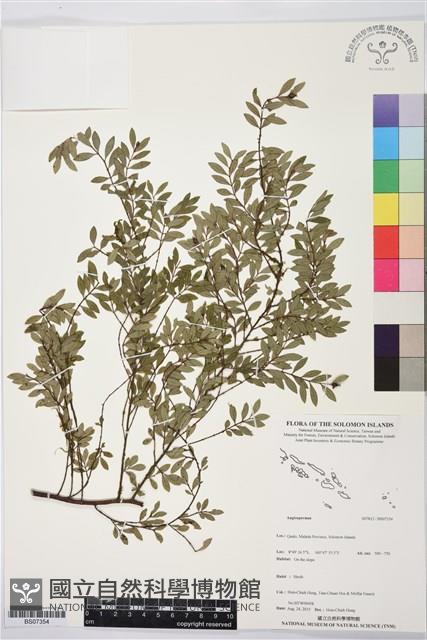 登錄號:BS07354藏品圖，第1張