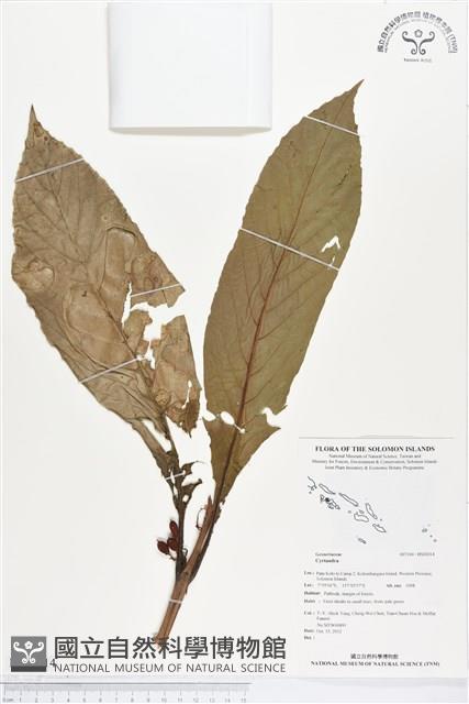 登錄號:BS02014藏品圖，第1張
