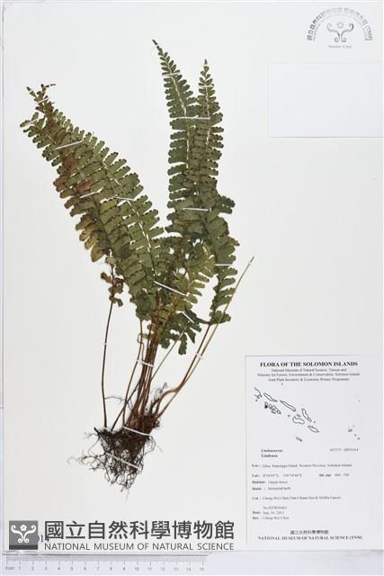 登錄號:BP01014藏品圖，第1張