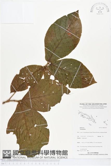 登錄號:BS05014藏品圖，第1張