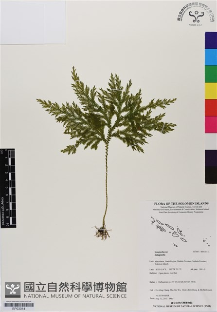 登錄號:BP03014藏品圖，第1張