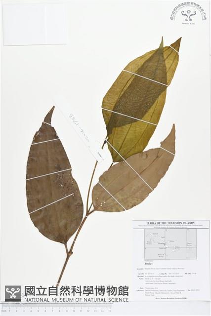 登錄號:BS01614藏品圖，第1張