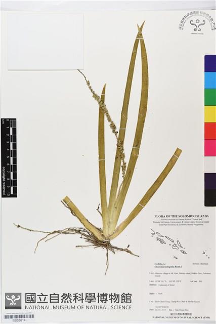 登錄號:BS05614藏品圖，第1張