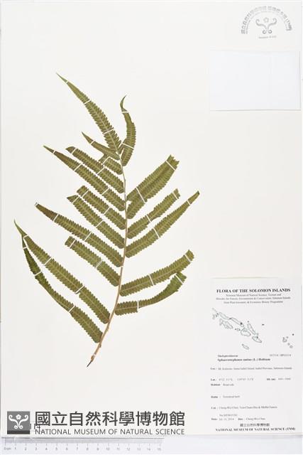 Accession Number:BP02114 Collection Image