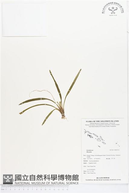登錄號:BS02114藏品圖，第1張
